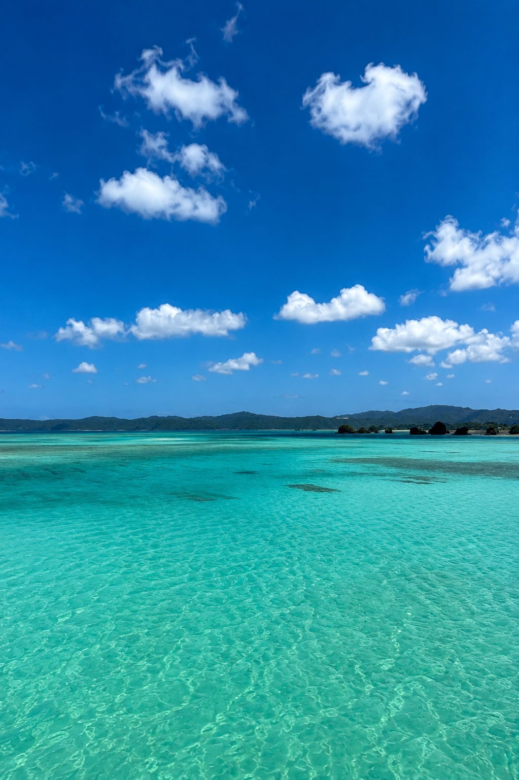コバルトブルーの海